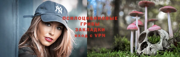 меф Приозерск