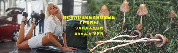 меф Приозерск